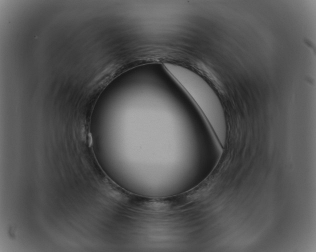 X0000091970313200709061137