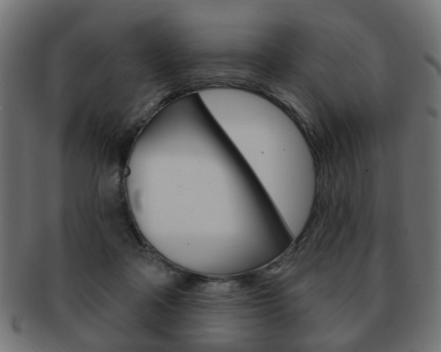 X0000091970314200709061137