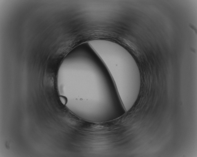 X0000091970315200709061137
