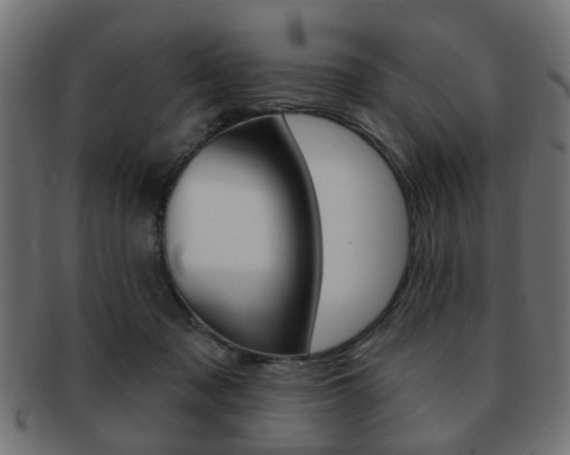 X0000091970317200709061137