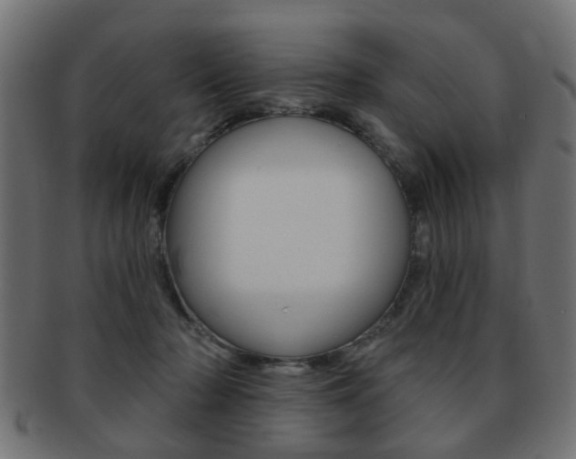 X0000091970318200709061137