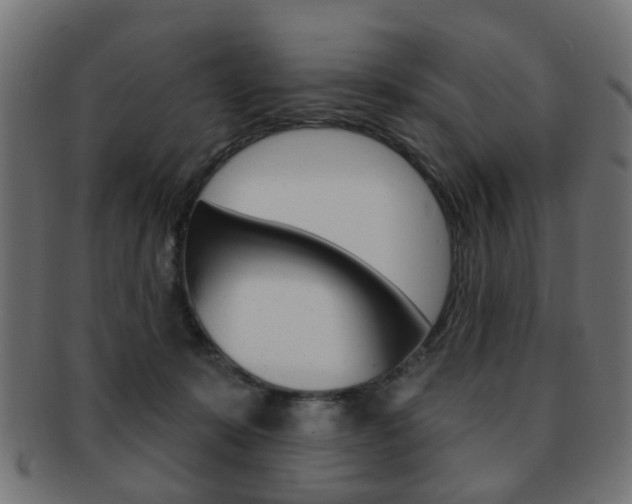 X0000091970319200709061137
