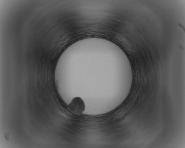 X0000091970320200709061137