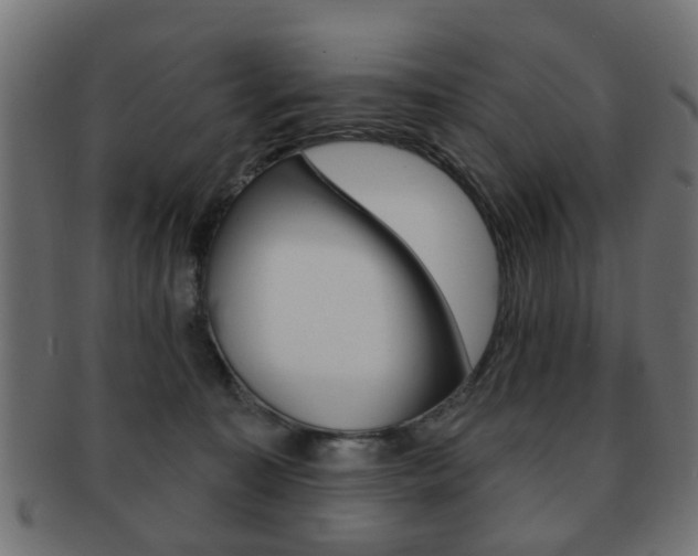 X0000091970323200709061137