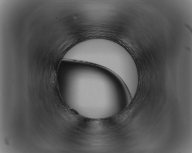 X0000091970325200709061137
