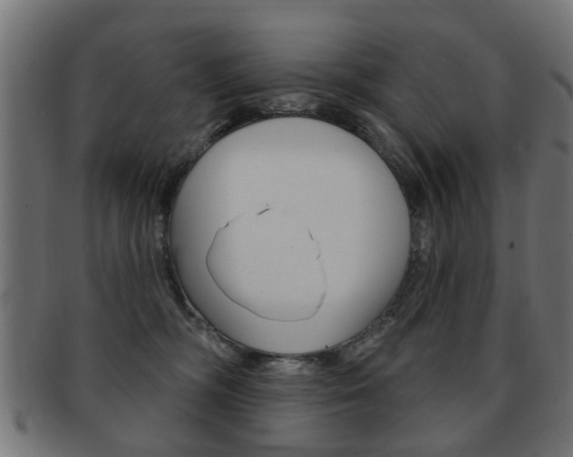 X0000091970326200709061137