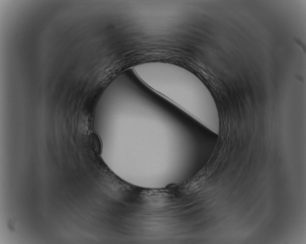 X0000091970331200709061137