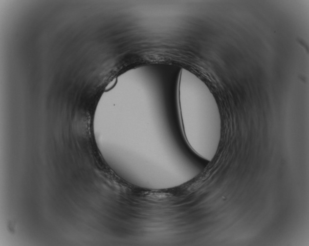 X0000091970332200709061137