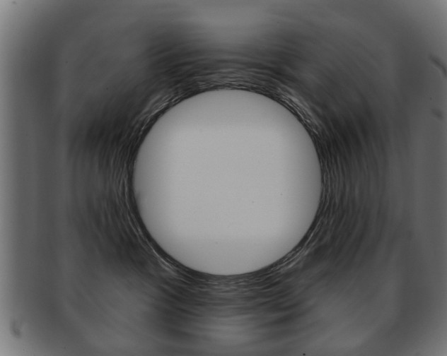 X0000091970333200709061137