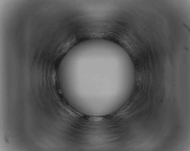 X0000091970334200709061137