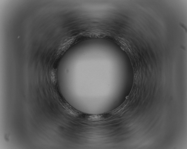X0000091970335200709061137