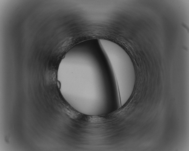 X0000091970336200709061137