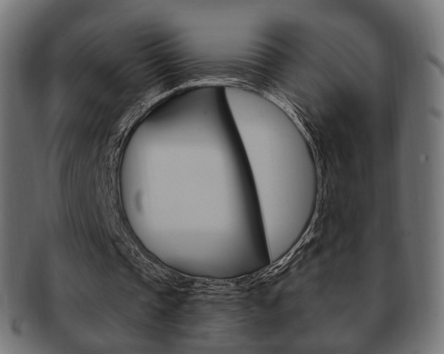 X0000091970337200709061136