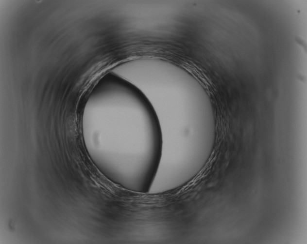 X0000091970338200709061136