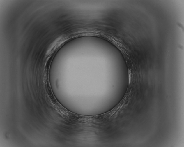 X0000091970339200709061136