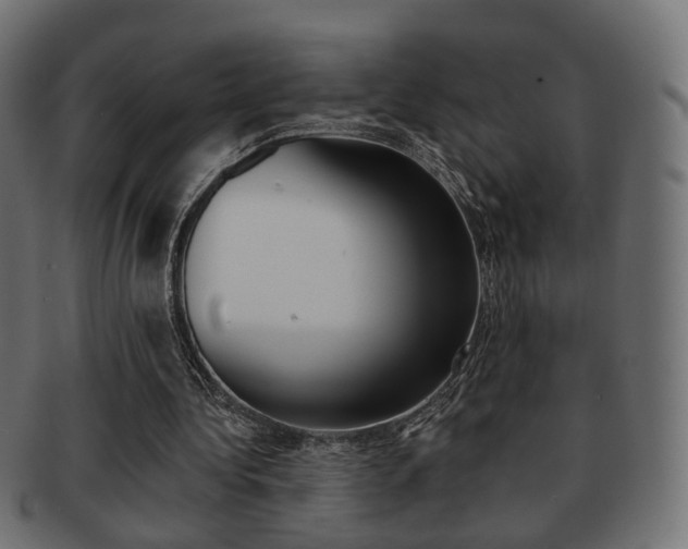 X0000091970340200709061136
