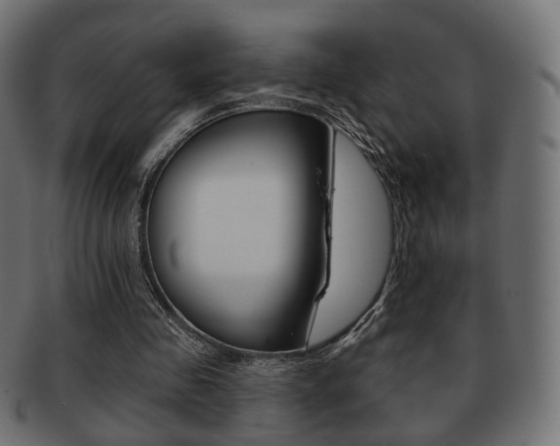 X0000091970341200709061136