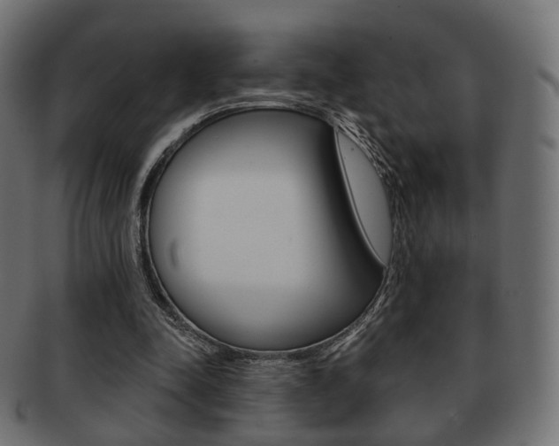 X0000091970342200709061136