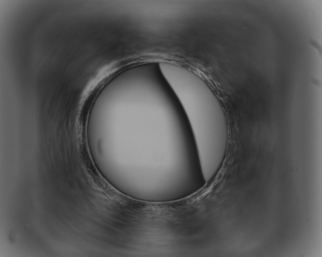 X0000091970343200709061136