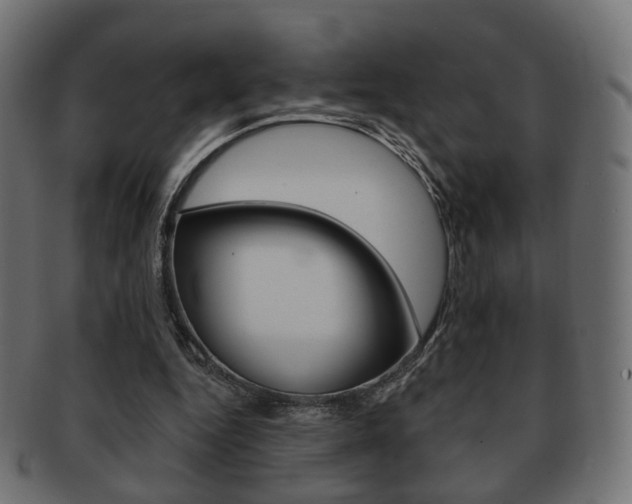 X0000091970344200709061136