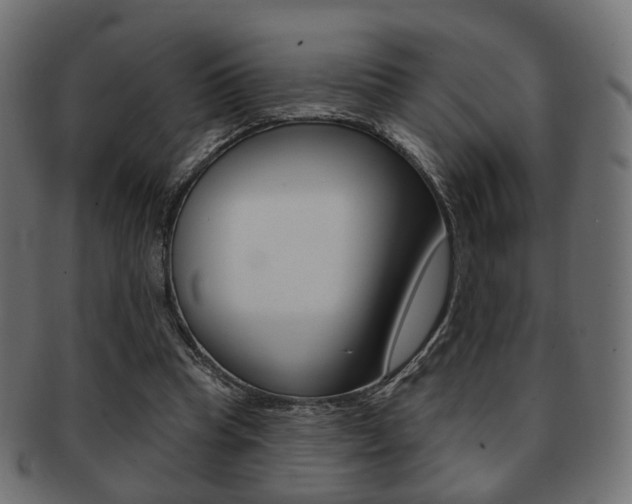 X0000091970345200709061136