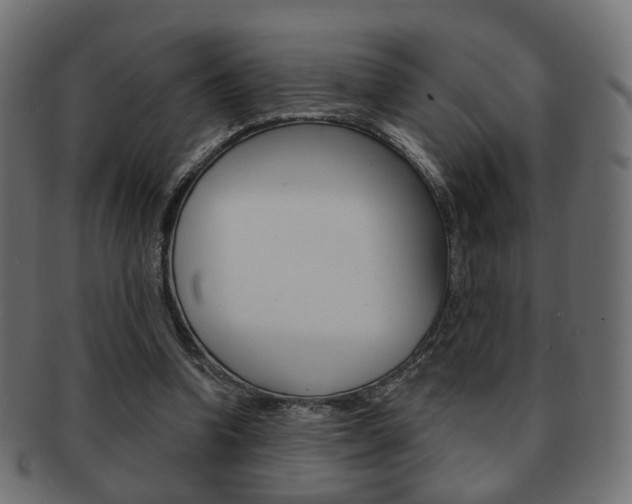 X0000091970346200709061136