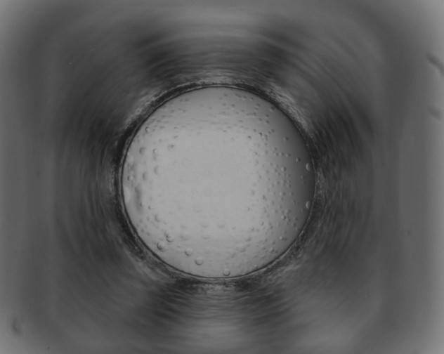 X0000091970347200709061136