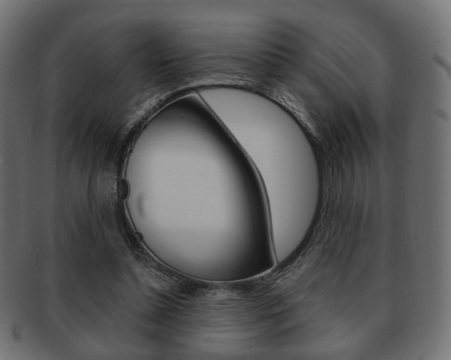 X0000091970348200709061136