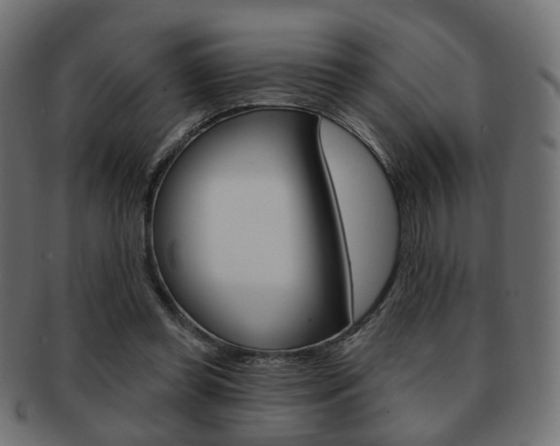 X0000091970349200709061136