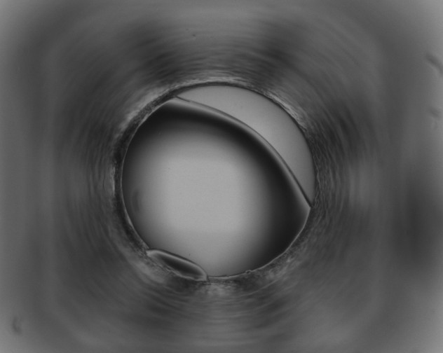 X0000091970350200709061136