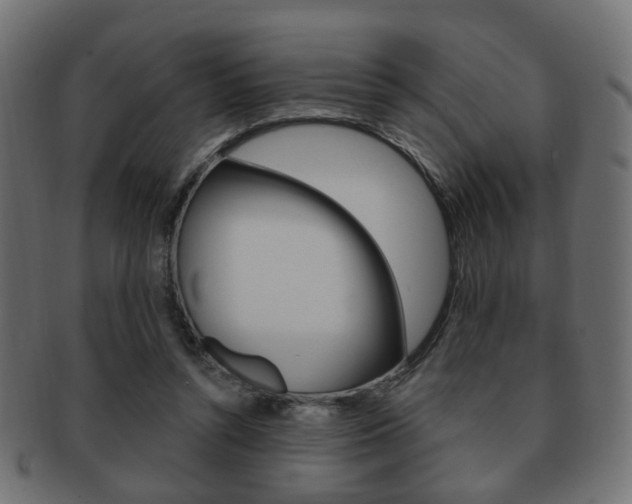 X0000091970352200709061136