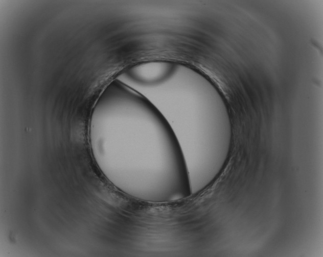 X0000091970353200709061136