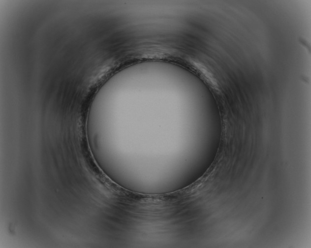 X0000091970354200709061136
