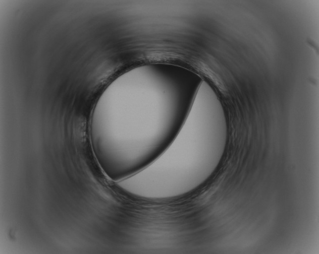 X0000091970356200709061136