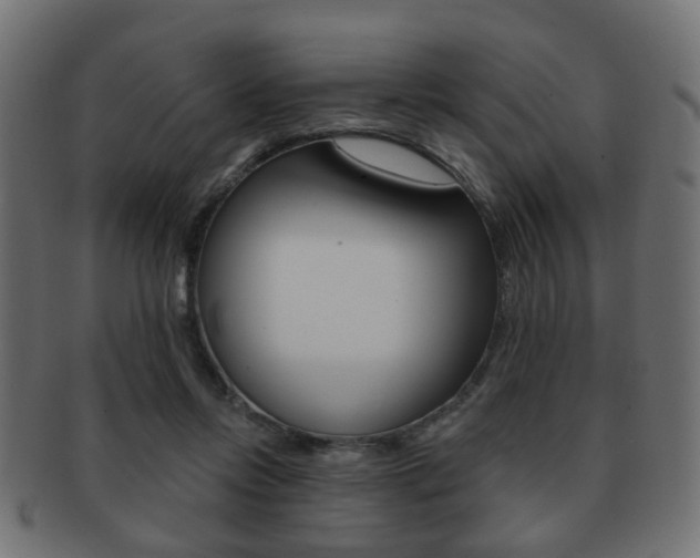 X0000091970358200709061137