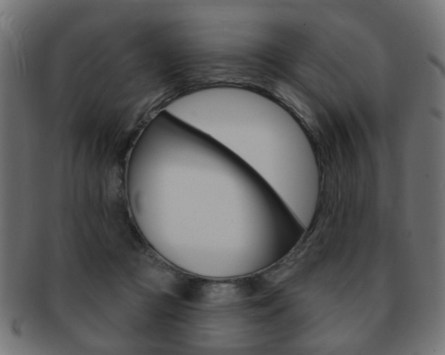 X0000091970361200709061137
