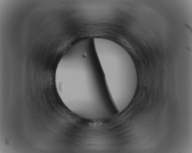 X0000091970362200709061137