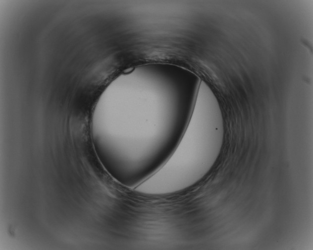 X0000091970364200709061137
