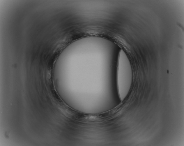 X0000091970365200709061137