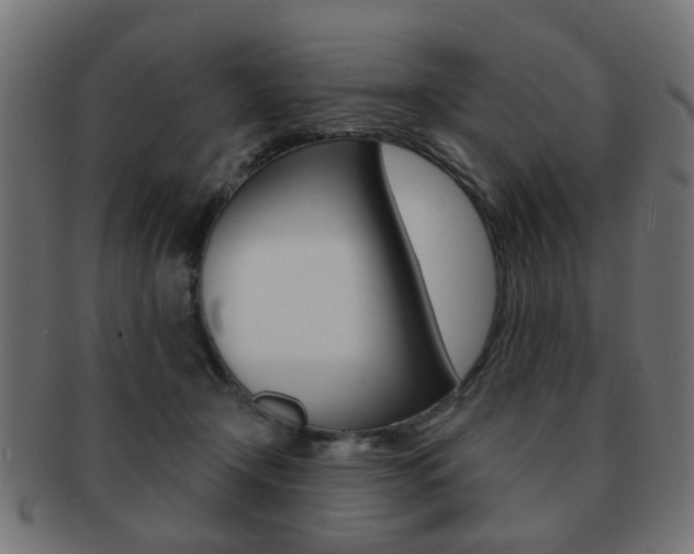 X0000091970366200709061137