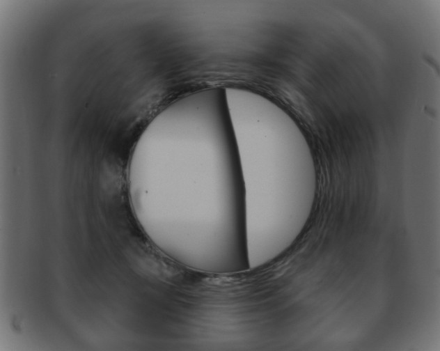 X0000091970367200709061137