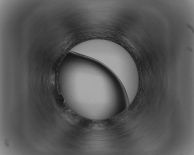 X0000091970368200709061137