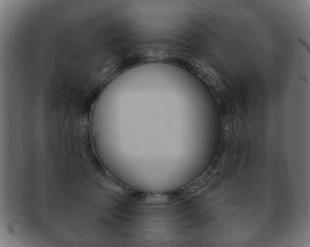 X0000091970369200709061137