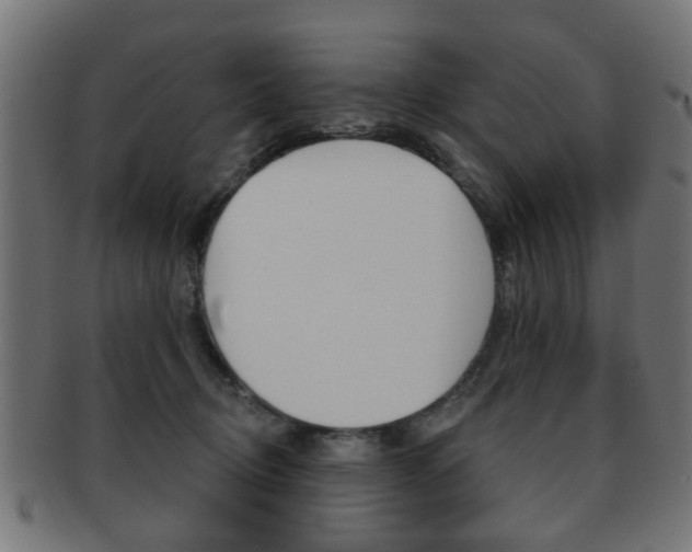 X0000091970370200709061137