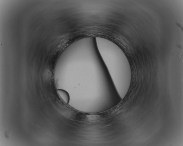 X0000091970371200709061137