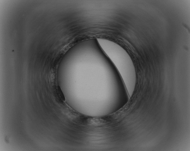 X0000091970372200709061137