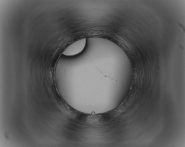 X0000091970373200709061137