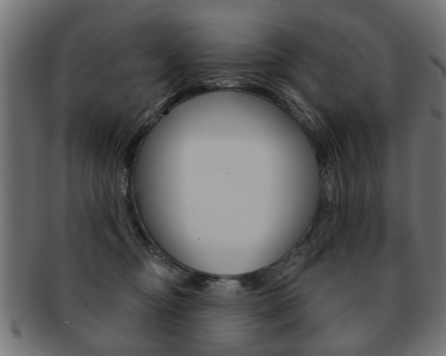 X0000091970374200709061137
