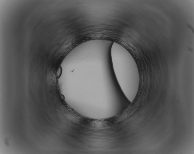 X0000091970375200709061137