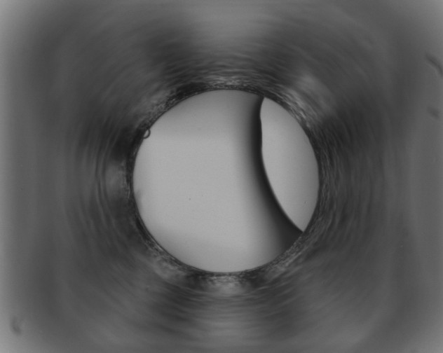 X0000091970377200709061137